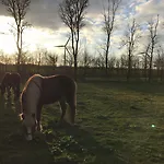 Bremsmaj Farm Pensjonat Kværs