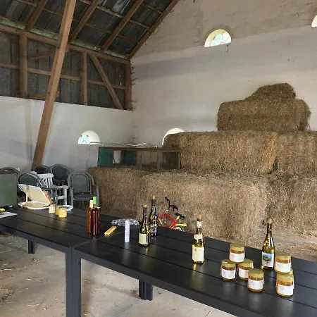 Bremsmaj Farm Kværs