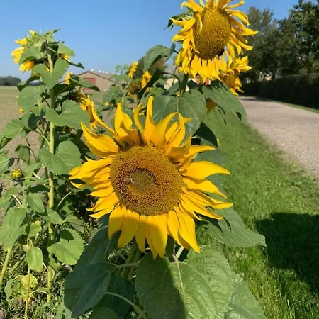 Maison d'hôtes Bremsmaj Farm 3*