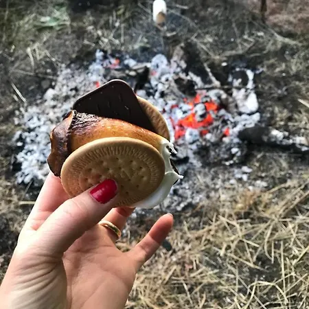 Bremsmaj Farm Konukevi 3*