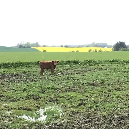 Maison d'hôtes Bremsmaj Farm 3*