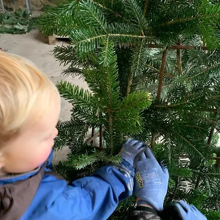 Bremsmaj Farm Gasthof 3*