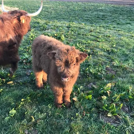 Bremsmaj Farm Gasthof