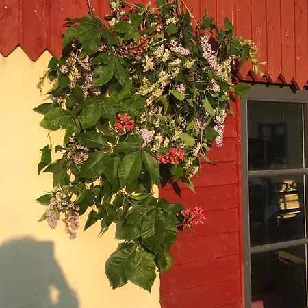 Bremsmaj Farm Maison d'hôtes 3*