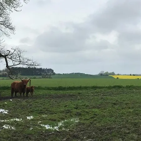 Bremsmaj Farm Kværs