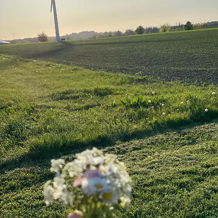 Bremsmaj Farm 3* Kværs