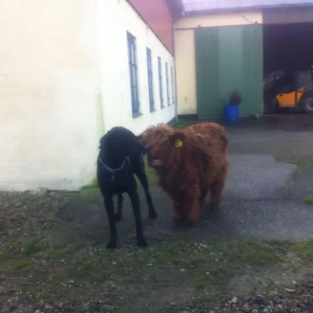 Bremsmaj Farm Gasthuis 3*