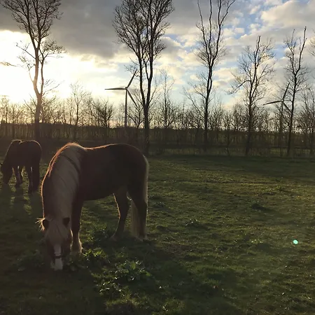 Bremsmaj Farm Konukevi Kværs