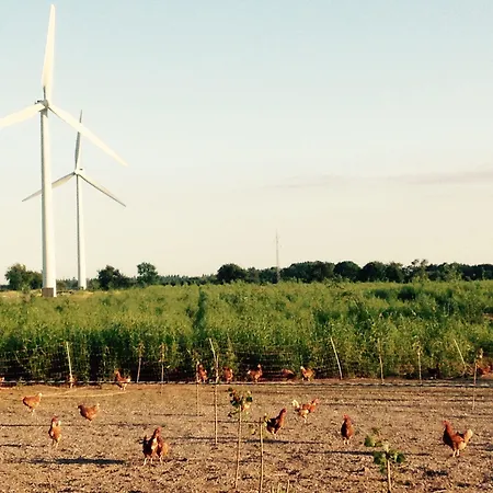 Gasthof Bremsmaj Farm Kværs