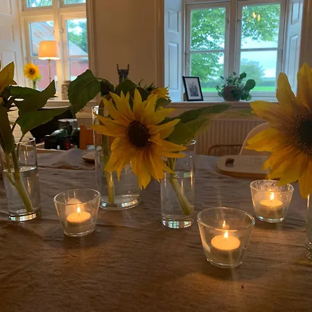 Bremsmaj Farm Maison d'hôtes Kværs