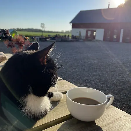 Gasthuis Bremsmaj Farm 3*