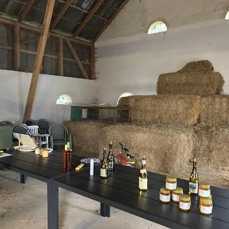 Bremsmaj Farm Kværs