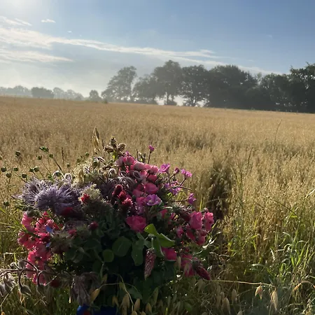 Gasthuis Bremsmaj Farm