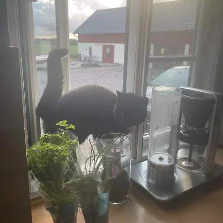 Bremsmaj Farm Gasthuis Kværs